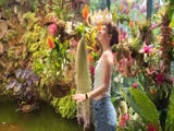 Private garden tour