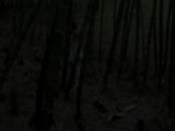 0924.mp4